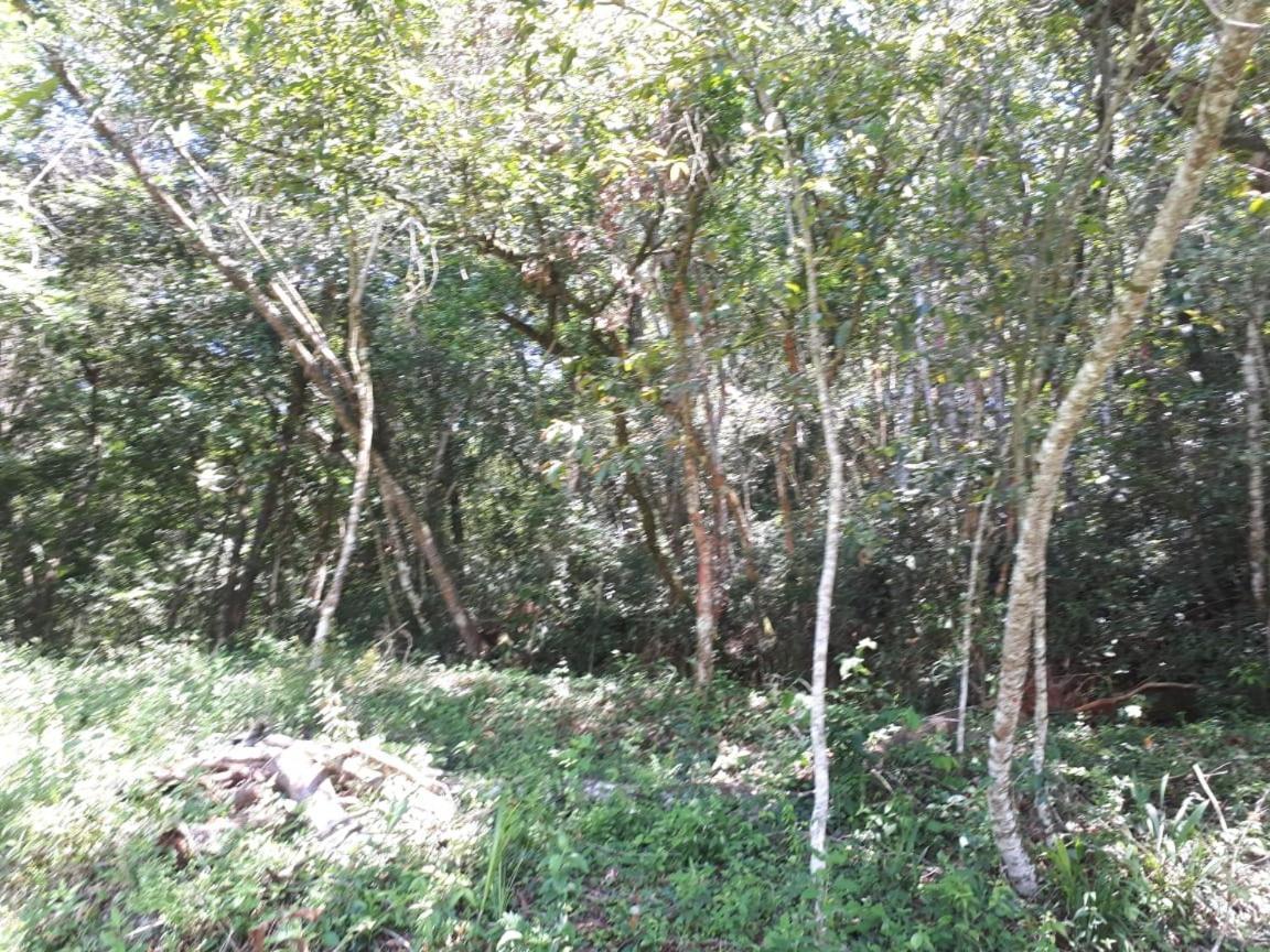 Pousada Kart Clube São João del Rei Kültér fotó
